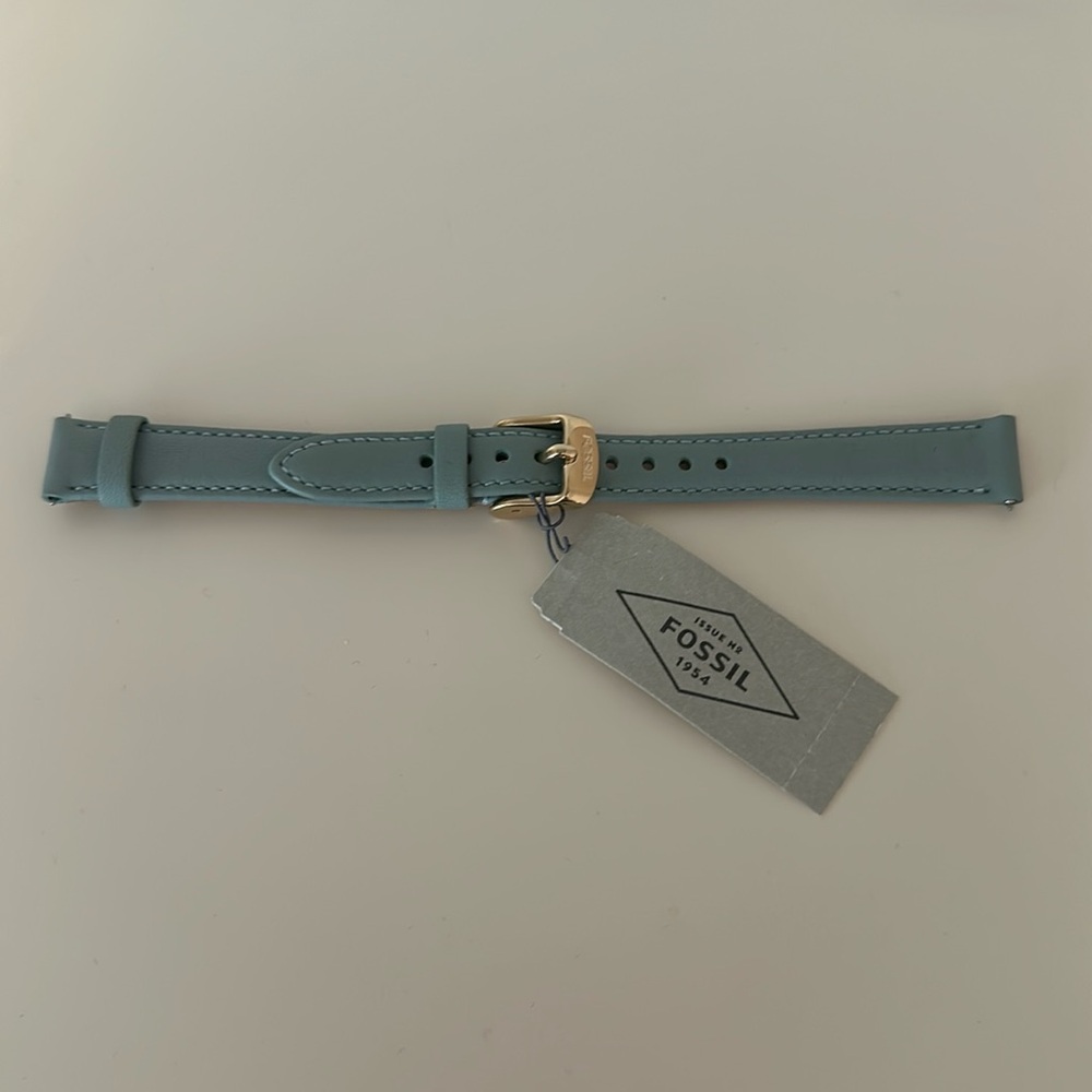 NWT Fossil Genuine Leather Watch Strap